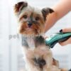 آموزش آرایشگری پت