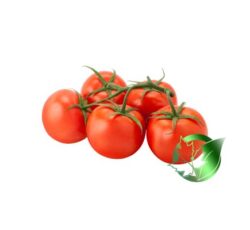 گوجه‌فرنگی صادراتی پارسا فود