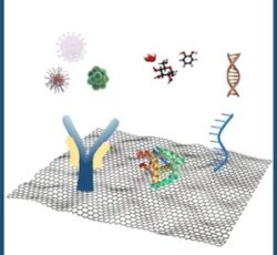 کتاب نانو الکترونیک و بیولوژی(دکتر افشین رشید)
