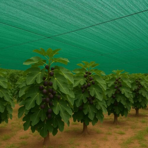 توری شید منو تیپ ، توری سایبان منوتیپ 09199762163