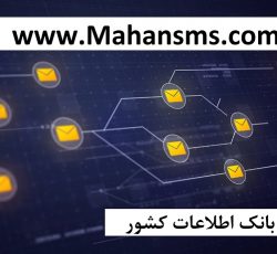 تبلیغ تو هدفمند انجام بده