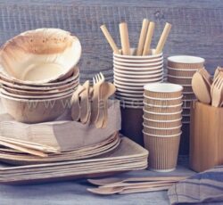 فروش اینترنتی انواع ظرف کاغذی