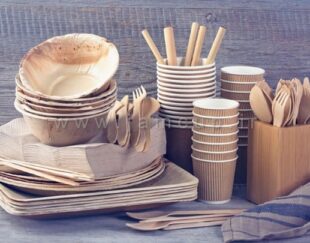 فروش اینترنتی انواع ظرف کاغذی