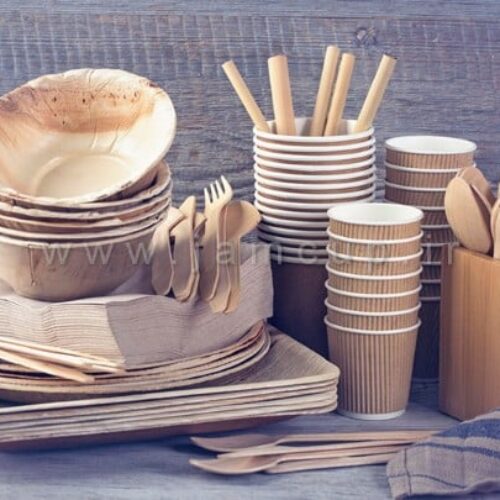 فروش اینترنتی انواع ظرف کاغذی