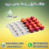 جت هیتر برقی ، جت هیتر برقی مرغداری 09199762163