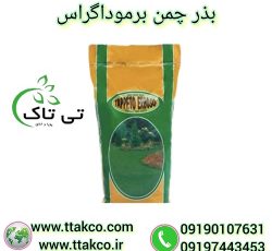 خرید و قیمت بذر چمن گرمسیری برموداگراس آفریقایی
