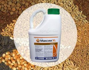 فروش سم ماکسیم سینجینتا