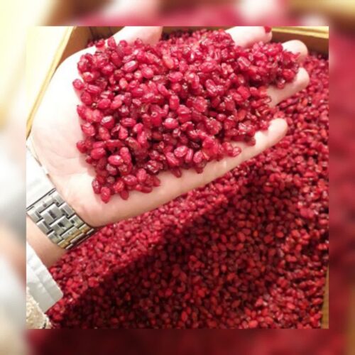 فروش عمده زرشک و ارسال به سراسر ایران