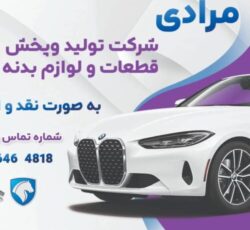 شرکت تولید و پخش لوازم بدنه خودرو