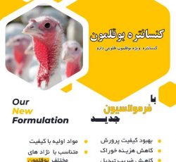 کنسانتره مرغ طلوعی دارو