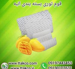 فوم توری انبه ، فوم انبه ، فوم میوه و ظروف