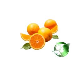 پرتقال صادراتی پارسا فود