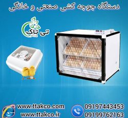 دستگاه جوجه کشی مرغ ، بلدرچین ، غاز و اردک