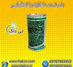 بذر شبدر دایکوندرا | بذر چمن دایکوندرا | بذر چمن