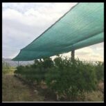 توری شید 90٪ ، توری شید 90درصد ، 09199762163