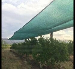 توری شید 90٪ ، توری شید 90درصد ، 09199762163