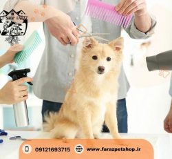 واکسیناسیون سگ و‌ گربه