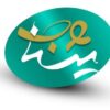 خدمات حرفه‌ای طراحی سایت و سئو