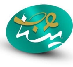 خدمات حرفه‌ای طراحی سایت و سئو