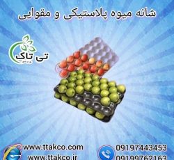 خرید و قیمت شانه میوه مقوایی و پلاستیکی