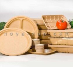 ‏‎قیمت ظروف تم تولد