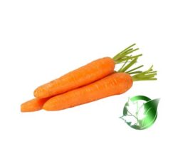 هویج صادراتی پارسا فود