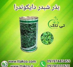 بذر چمن ، بذر شبدر دایکوندرا ، بذر چمن دایکوندرا