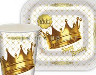 تولید ظروف یکبار مصرف