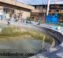 تصفیه شیمیایی پساب صنایع سلولزی