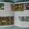 کتاب آلمانی گلها و گیاهان آپارتمانی، گلخانه ای و باغبانی