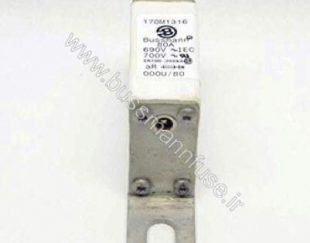 فیوز استوانه باسمن  150V 5-60A