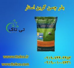 بذر چمن گرین استار | قیمت بذر چمن اسپرت گرین استار