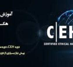 شبکه                 CEH
