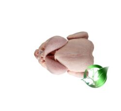 مرغ صادراتی پارسا فود