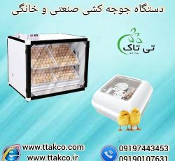 دستگاه جوجه کشی | ماشین جوجه کشی