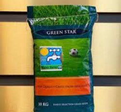 بذرچمن ، بذر چمن هلندی 09199762163