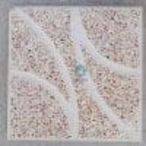 موزاییک حیاطی شمشیری سنگ الوان – رنگ عسلی