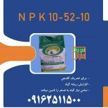 کود 10 52 10 سبزینه مارال