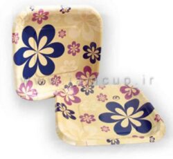 پیش دستی یکبار مصرف کاغذی