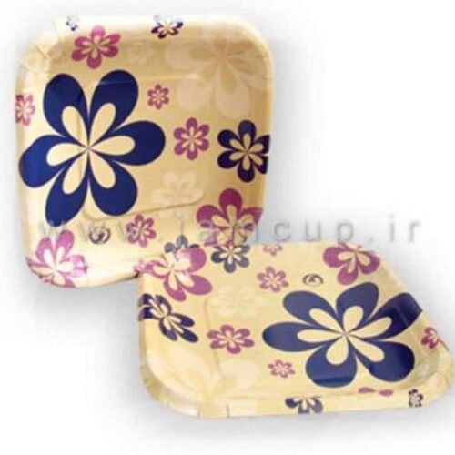 پیش دستی یکبار مصرف کاغذی