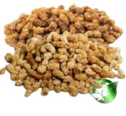 توت خشک صادراتی.توت خشک فله. توت خشک عمده پارسافود