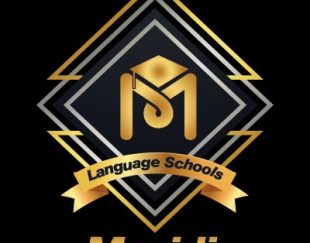 استخدام مدرس در موسسه زبان مزیدی
