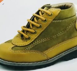 ارتوپدفنی ستارخان