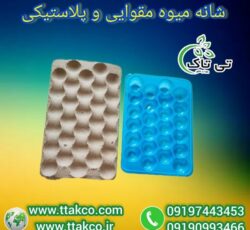 شانه میوه: بسته بندی و محافظت از میوه های صادراتی