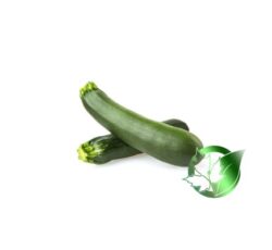 کدو سبز صادراتی پارسا فود