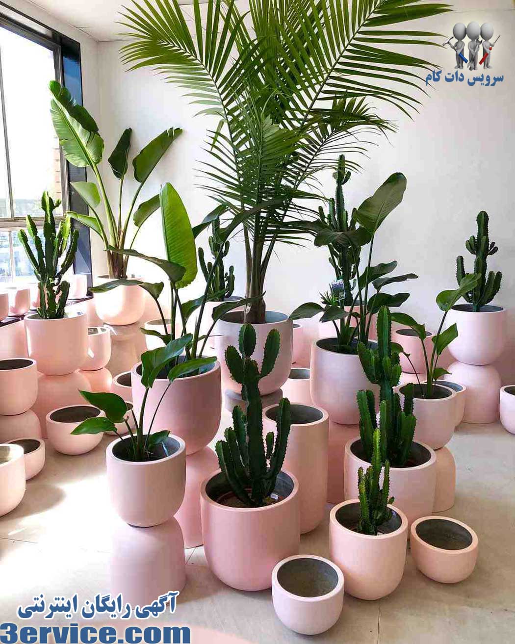 نکاتی برای مراقبت و نگهداری از گل و گیاه