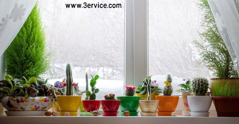 راهکارهایی برای جلوگیری از سرمازدگی گیاهان در زمستان