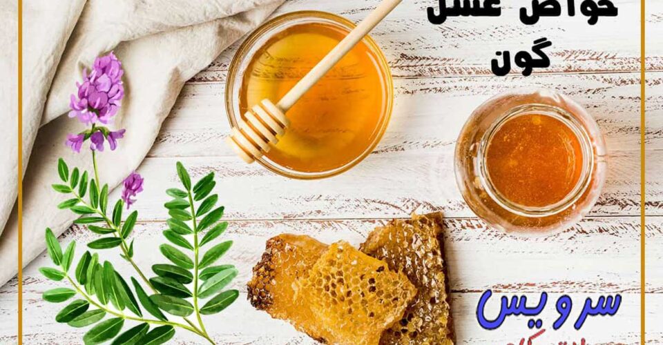 عسل گون و 27 خاصیت جادویی آن برای سلامتی انسان